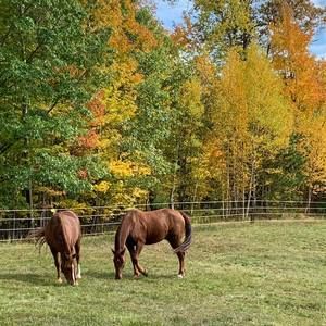 Meet your Posher, Patti